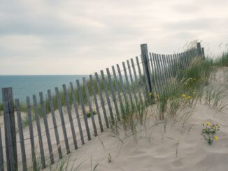 enrochement face à la mer Bréhal-Coudeville